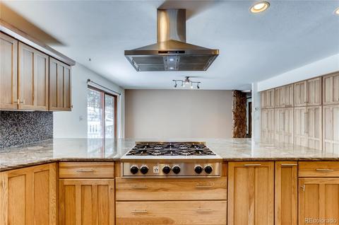 57 Spring Dr, Pine, CO 80470 photo 6