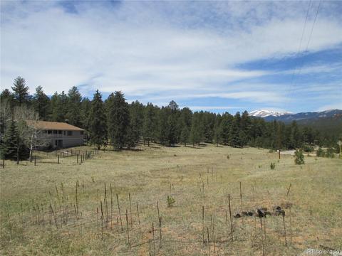 57 Spring Dr, Pine, CO 80470 photo 32