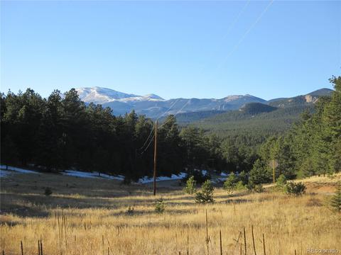 57 Spring Dr, Pine, CO 80470 photo 30