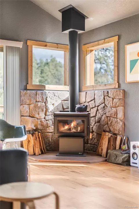 Living - 225 E Cline Dr, Shawnee, CO 80475 photo 6 of 8