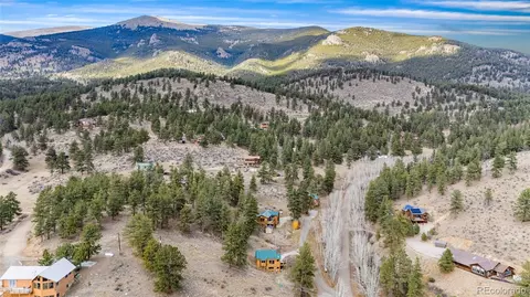 Other - 225 E Cline Dr, Shawnee, CO 80475 photo 11 of 16