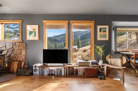 Living - 225 E Cline Dr, Shawnee, CO 80475 photo 3 of 8