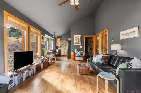 Living - 225 E Cline Dr, Shawnee, CO 80475 photo 8 of 8