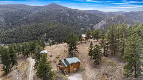 Other - 225 E Cline Dr, Shawnee, CO 80475 photo 13 of 16