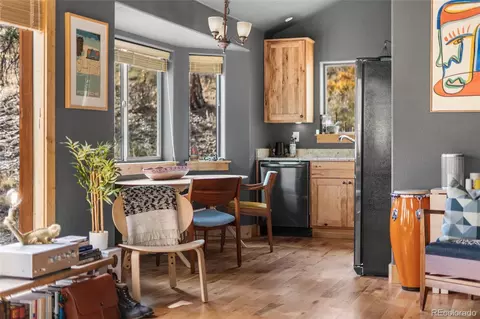 Other - 225 E Cline Dr, Shawnee, CO 80475 photo 6 of 16