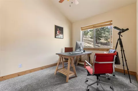 Other - 225 E Cline Dr, Shawnee, CO 80475 photo 8 of 16