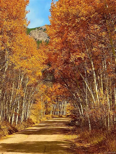 Other - 225 E Cline Dr, Shawnee, CO 80475 photo 3 of 16