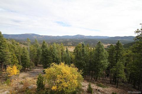 1441 S Pine Dr, Bailey, CO 80421 photo 1
