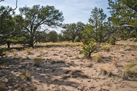 1460 Badger Rd, Crestone, CO 81131 photo 5