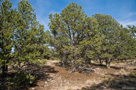1460 Badger Rd, Crestone, CO 81131 photo 9