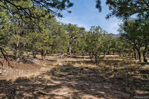 1460 Badger Rd, Crestone, CO 81131 photo 10