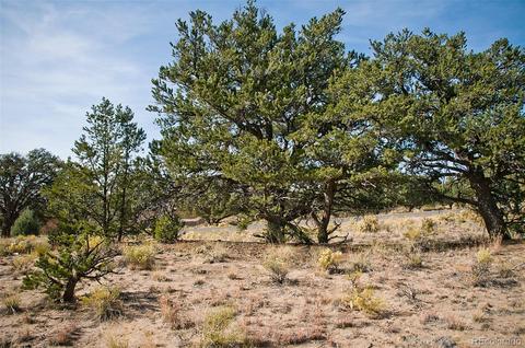 1460 Badger Rd, Crestone, CO 81131 photo 6