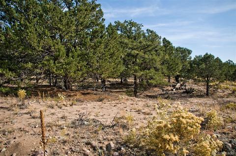 1460 Badger Rd, Crestone, CO 81131 photo 2
