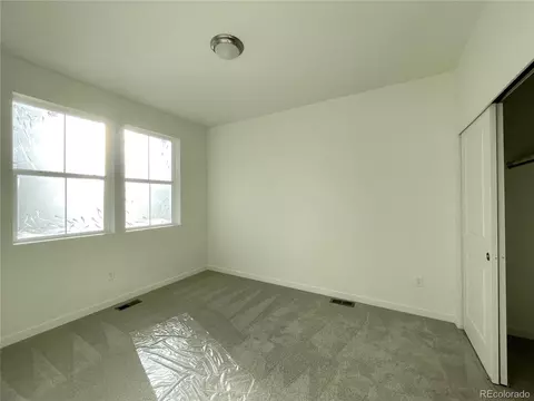 5475 Euclid Ct, Timnath, CO 80547 photo 13