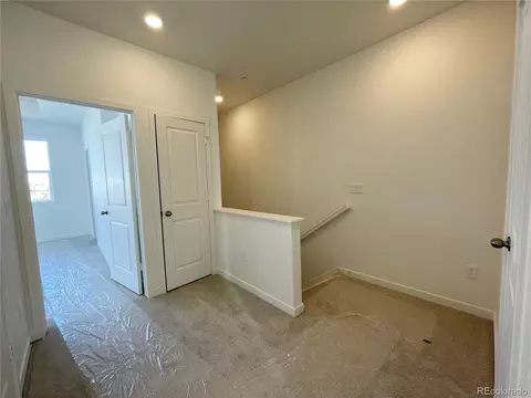 5475 Euclid Ct, Timnath, CO 80547 photo 11