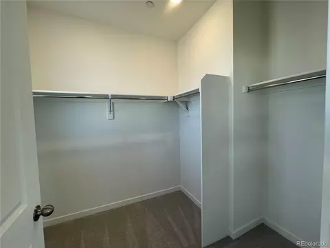 5475 Euclid Ct, Timnath, CO 80547 photo 9