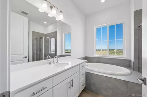 Bath - 5509 Green Thumb Ave, Longmont, CO 80504 photo 2 of 4
