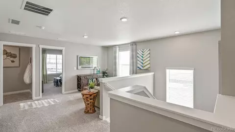 14596 Beebalm Ave, Parker, CO 80134 photo 17