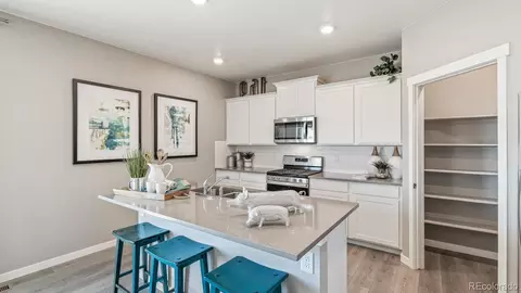 14596 Beebalm Ave, Parker, CO 80134 photo 12