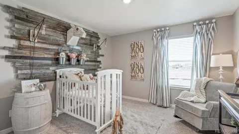 14596 Beebalm Ave, Parker, CO 80134 photo 24