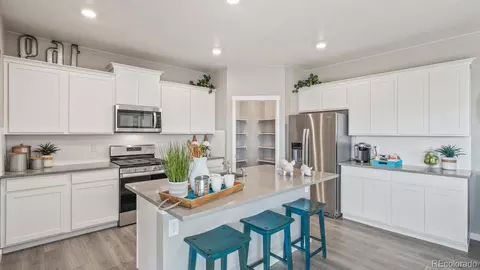 14596 Beebalm Ave, Parker, CO 80134 photo 10