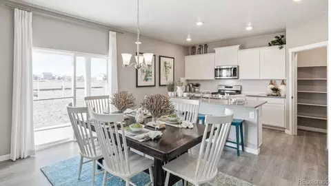 14596 Beebalm Ave, Parker, CO 80134 photo 9