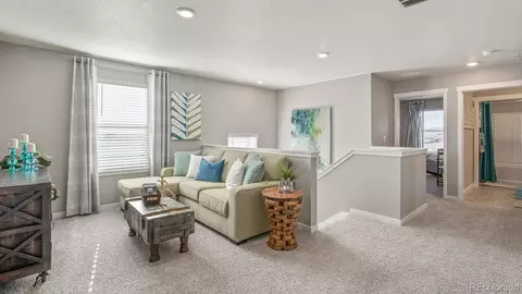 14596 Beebalm Ave, Parker, CO 80134 photo 16