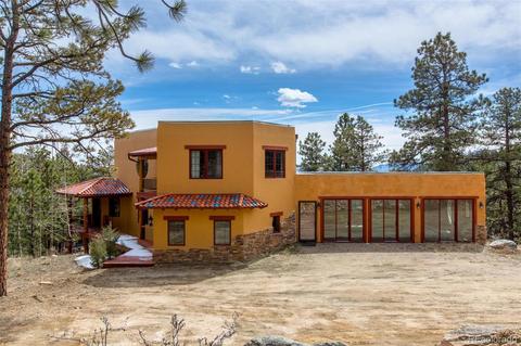 4352 County Road 72, Bailey, CO 80421 photo 1