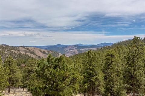 4352 County Road 72, Bailey, CO 80421 photo 26