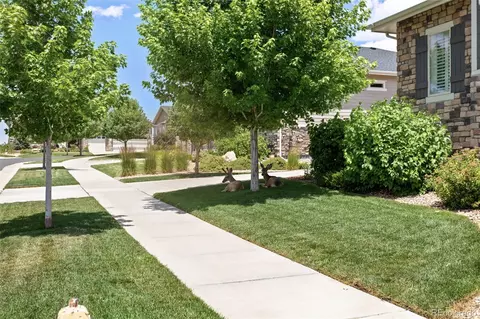 Exterior - 22878 E Bailey Cir, Aurora, CO 80016 photo 3 of 3