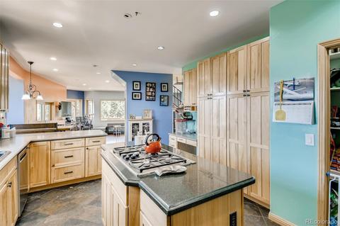 240 Pinecrest Cir, Bailey, CO 80421 photo 7