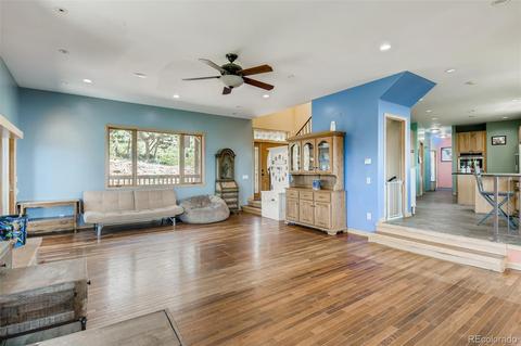 240 Pinecrest Cir, Bailey, CO 80421 photo 4
