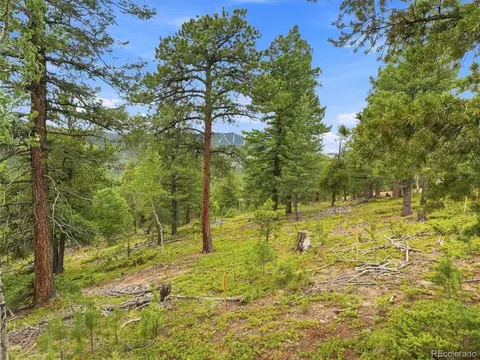Other - 31004 Forest Shadow Trl, Conifer, CO 80433 photo 6 of 12