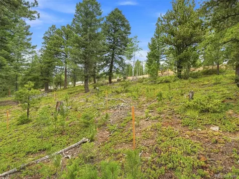 Other - 31004 Forest Shadow Trl, Conifer, CO 80433 photo 7 of 12