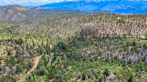 Other - 1927 Basin Dr, Cotopaxi, CO 81223 photo 16 of 17