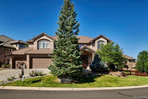 9140 E Lost Hill Dr, Lone Tree, CO 80124 photo 2