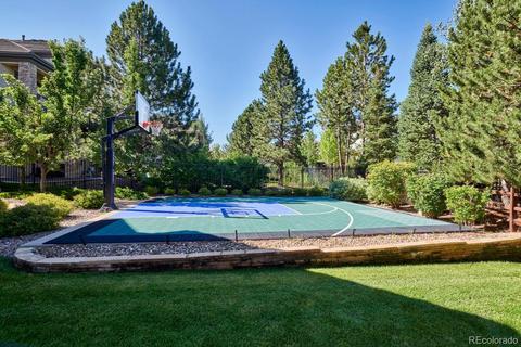 9140 E Lost Hill Dr, Lone Tree, CO 80124 photo 27