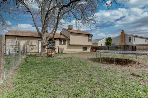 4643 S Devinney St, Morrison, CO 80465 photo 23