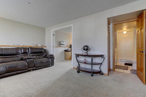 4643 S Devinney St, Morrison, CO 80465 photo 16