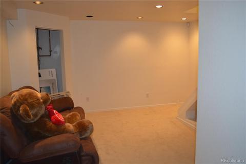 5291 E 123rd Ave, Thornton, CO 80241 photo 23
