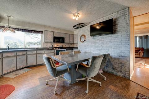 60 Quakie Way, Bailey, CO 80421 photo 14