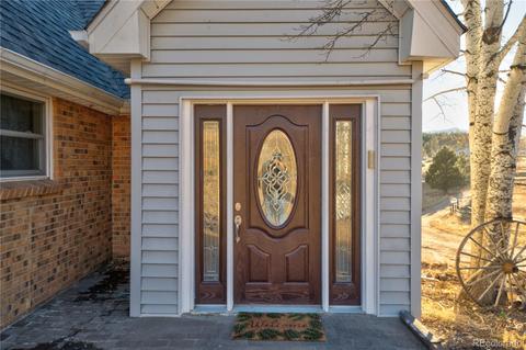 60 Quakie Way, Bailey, CO 80421 photo 8
