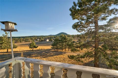 60 Quakie Way, Bailey, CO 80421 photo 33