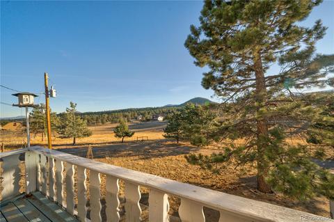 60 Quakie Way, Bailey, CO 80421 photo 32