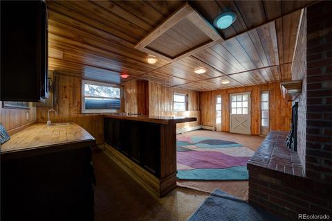 60 Quakie Way, Bailey, CO 80421 photo 29