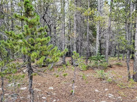 278 Lower Forest Road, Idaho Springs, CO 80452