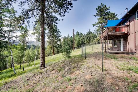 33664 Freda Rd, Pine, CO 80470 photo 23