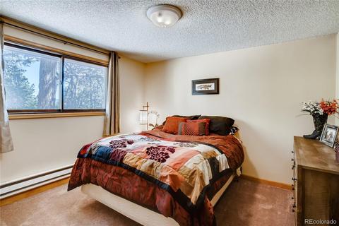 33664 Freda Rd, Pine, CO 80470 photo 16