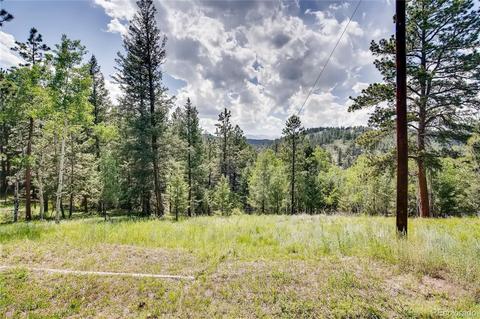 33664 Freda Rd, Pine, CO 80470 photo 4