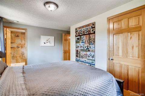 33664 Freda Rd, Pine, CO 80470 photo 14